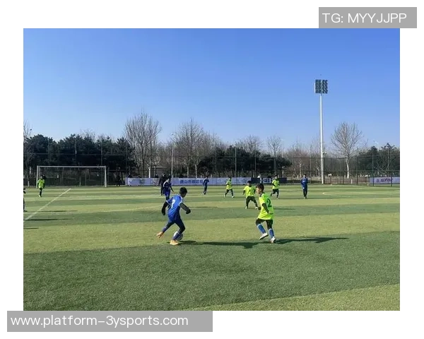 青少年足球场的成长与发展探索促进健康生活方式与团队精神培养