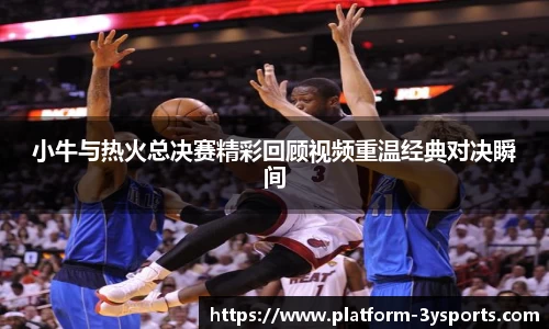 小牛与热火总决赛精彩回顾视频重温经典对决瞬间